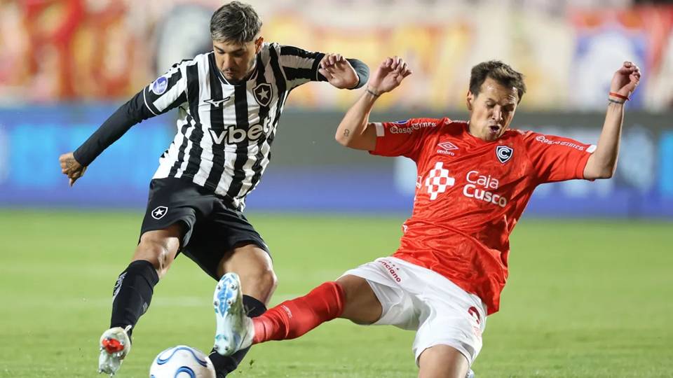 Botafogo é humilhado na Sul-Americana e chega pressionado para pegar o Vitória